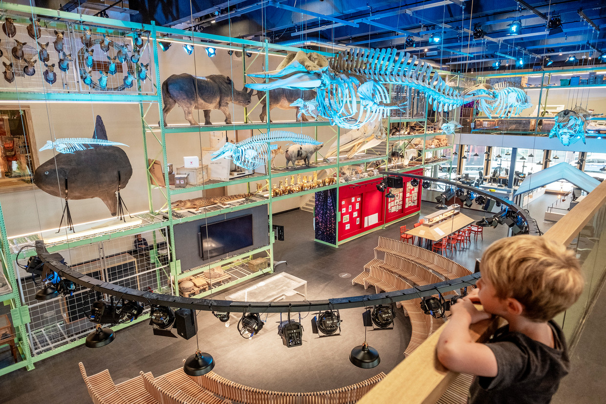 Het nieuwe Naturalis moet ook twijfelaars naar binnen lokken | Trouw