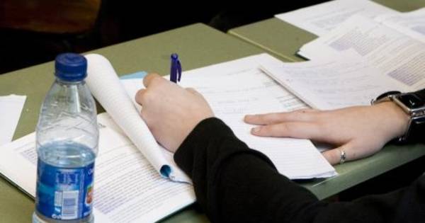 Nieuwe directeur voor Sint Willibrordusschool Hulst | Zeeuws-Vlaanderen - PZC