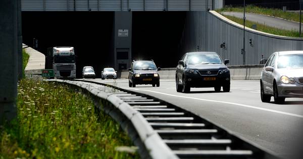 Overstekende eenden veroorzaken ernstig ongeluk op de snelweg.