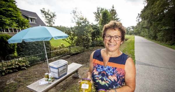 Willy uit Albergen verkoopt courgettes in zuur met 'Indische twist' - Tubantia