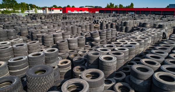 'Elke tijgermug in ons land is er één te veel' - De Stentor