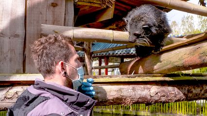 Aflevering 6