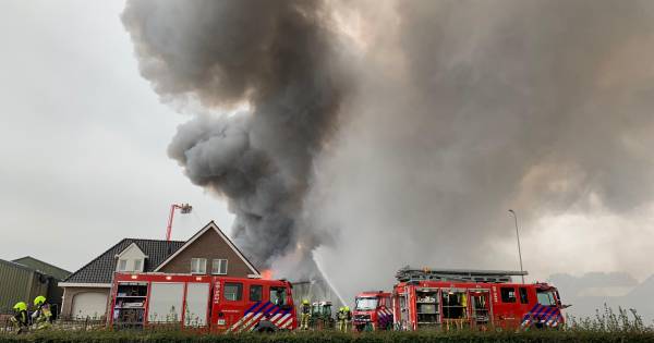 Grote brand Hedel is meester: loods verwoest, tweede gebouw beschadigd, één gewonde - De Gelderlande