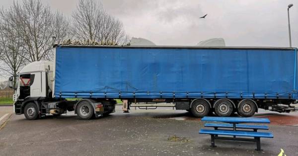 Vrachtwagenchauffeur heeft zaakjes niet op orde: tien mille aan boetes - BN DeStem