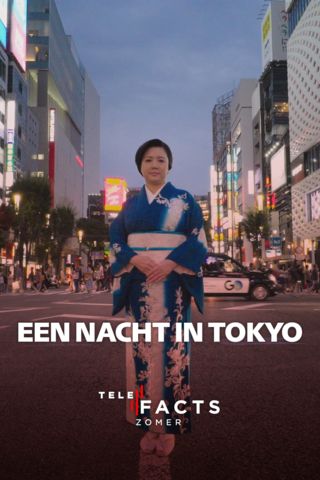 Een nacht in Tokyo
