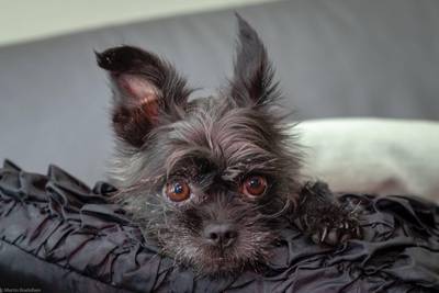 Dit zijn onze Frekkels uit de regio