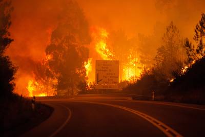 Zware bosbrand Portugal eist 57 levens: noodtoestand uitgeroepen