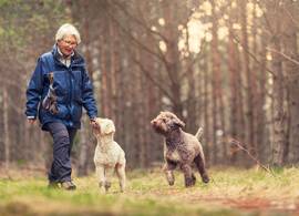 Is je hond gebeten door een andere hond? 