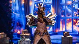 Eenhoorn mag ons elke kerst zijn hart geven