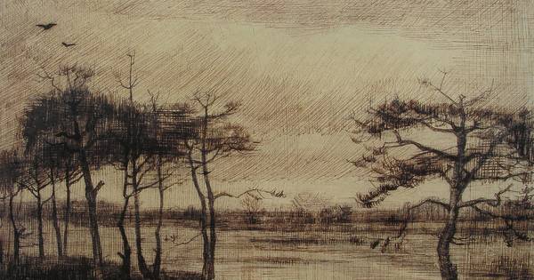 Tekende Vincent van Gogh dit ven in Stiphout? - Eindhovens Dagblad