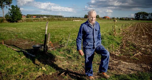 Pionieren in de ruilverkaveling van de jaren vijftig: 'Het was hier een en al aerremoei’