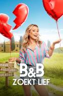 boxcover van B&B zoekt Lief