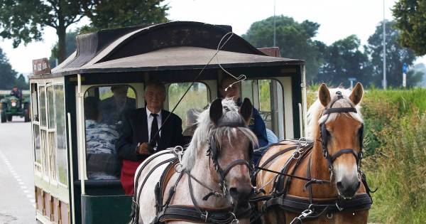 Nostalgisch paardentramritje door Kruisland