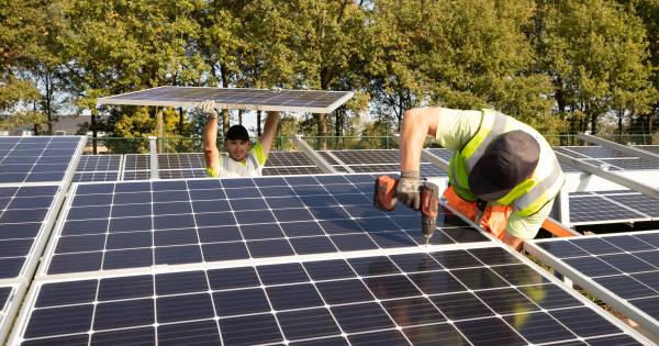 Run op zonnevelden Neder-Betuwe