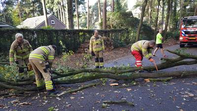 Storm waait bomen omver in Wageningen
