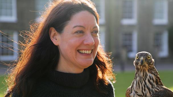 H is for Hawk: A New Chapter - Natural World