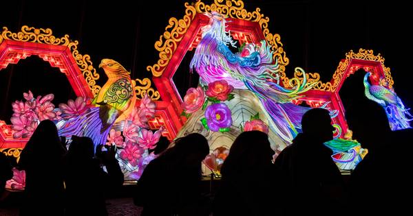 China Light Festival In Ouwehands Dierenpark Is Alsof Je In Een