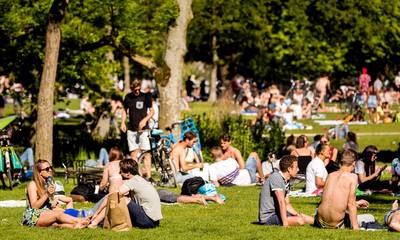 'Randstad heeft meer groen nodig'
