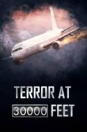 boxcover van Terror at 30,000 Feet