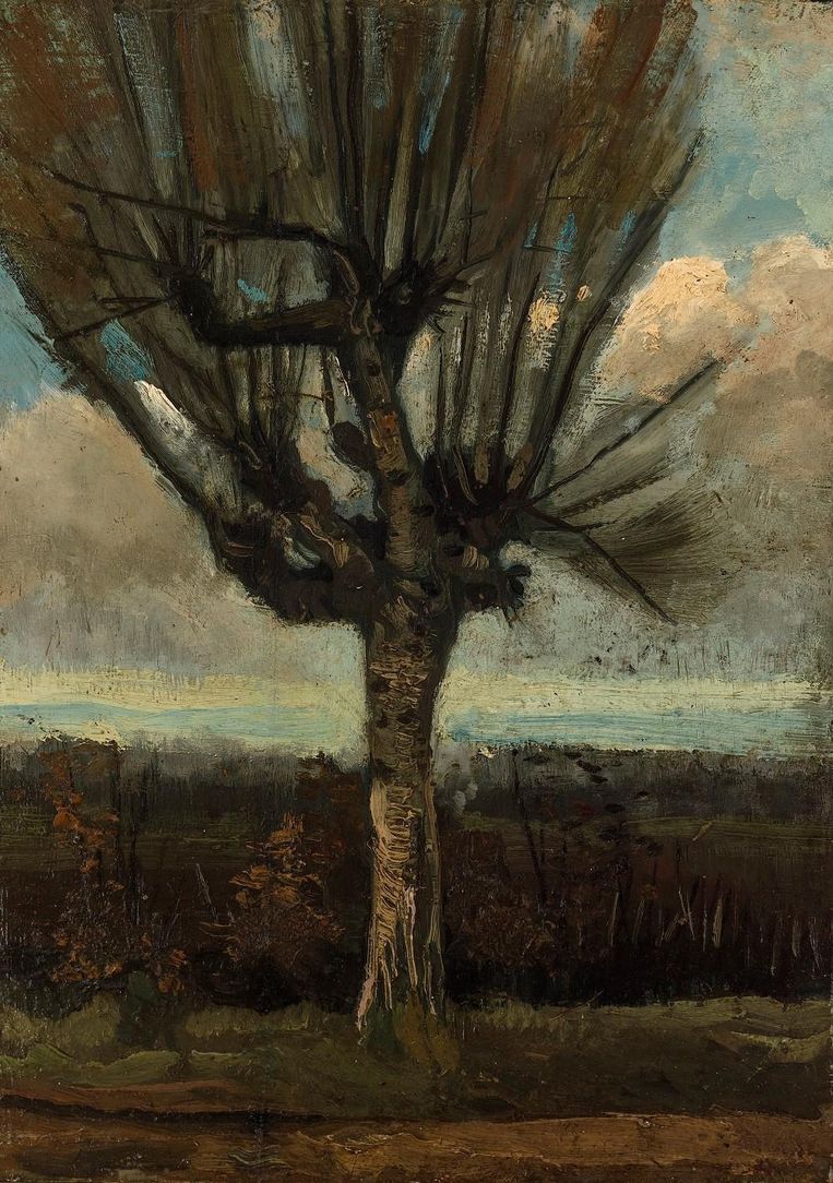 Geschilderde boswandeling is inkoppertje voor Van Gogh Museum | De  Volkskrant