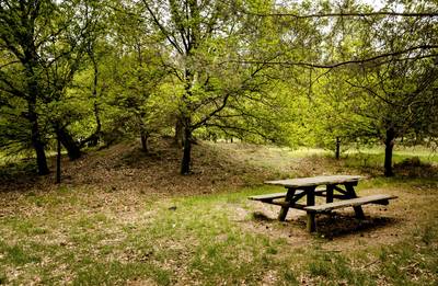 6 en 4 jaar cel voor bijna-moord op Posbank