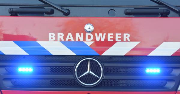 Grote brand laat niets heel van schuur in Nieuw-Namen .