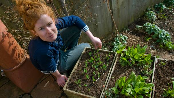 The Edible Garden