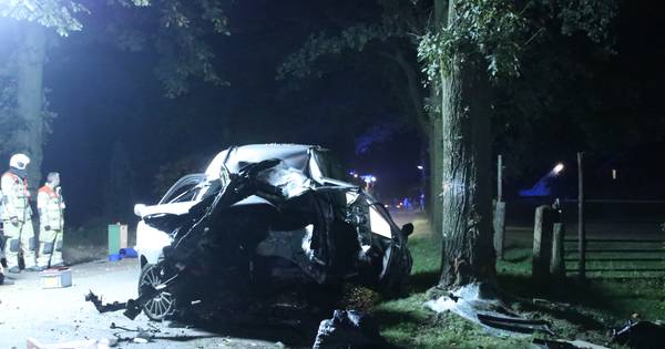 Bestuurder bestelauto overleden na botsing tegen boom in Overberg