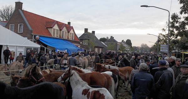 15 mille voor feest rond driehonderdste paardenmarkt