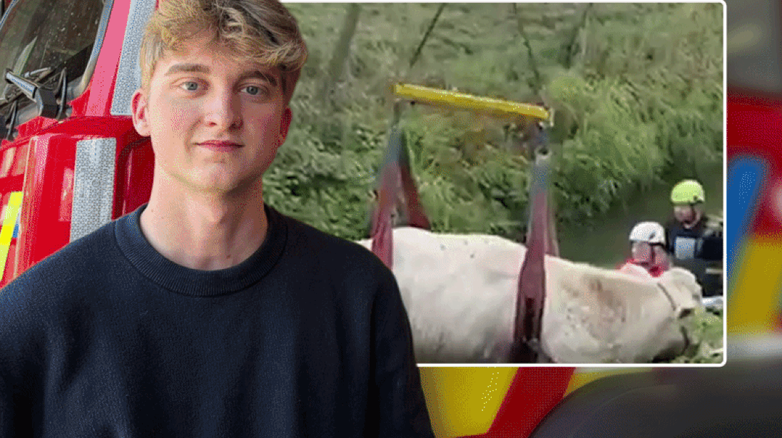 Dit brandweerkorps heeft een eigen videoreeks, met dank aan stagiair Mathis (20): “Een koe van 750 kilo in een beerput, dat is écht spectaculair”