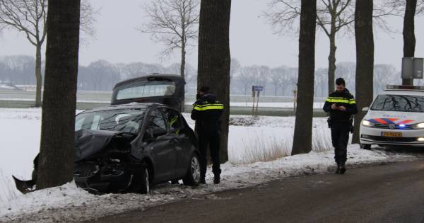 Bestuurder gewond door botsing tegen boom in Landhorst