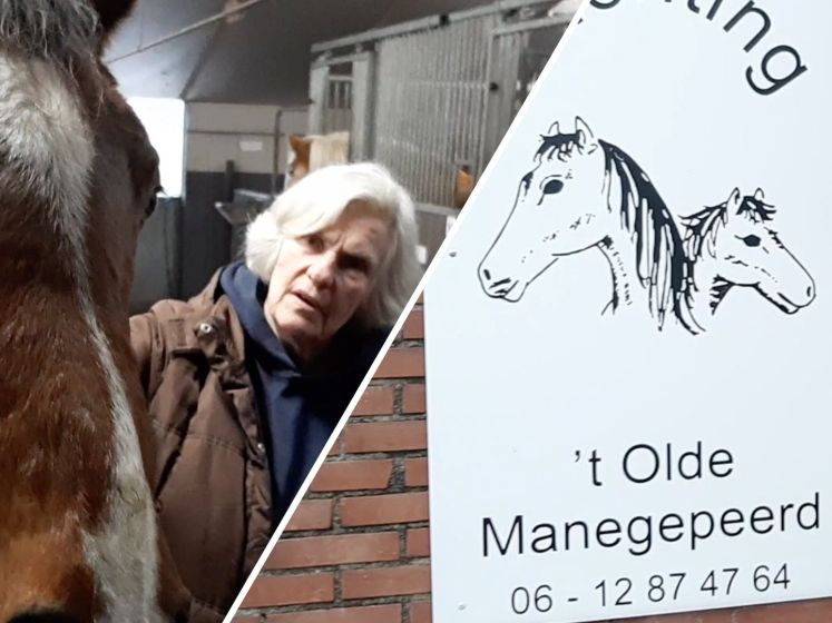 Zonder hulp dreigt slacht voor 40 paarden in Dalmsholte
