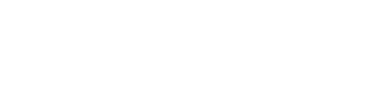 Betrapt! Zwartrijders op de Vlucht