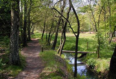 Renkum wil zonnepanelen in Natura 2000-gebied