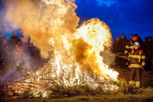 Kerstbomenverhuur Voor Al Uw Kerstbomen Klein Of Groot