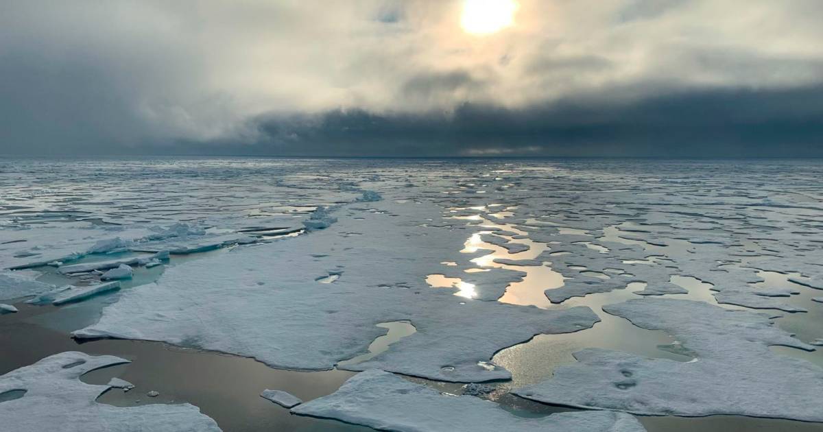 Plaque De Glace Issue De La Banquise Cri d'alarme sur la fonte des glaces de la banquise | Monde | 7sur7.be