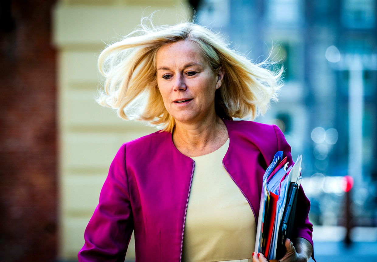 Sigrid Kaag is de troef van D66, wordt ze ook de volgende ...