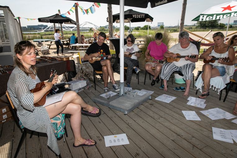 Allemaal Aan De Ukelele Wij Stomen Mensen Klaar Voor Het