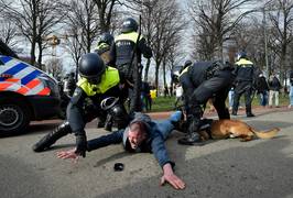 Schot gelost bij demo Malieveld toen politiehond werd aangevallen door vechthond