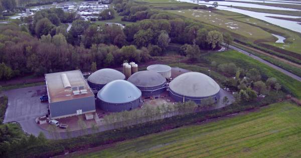 Gemeente wil in principe meewerken aan uitbreiding mestverwerker Oijen - BD.nl