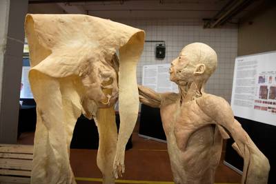 Tentoonstelling met dode mensen naar Ede