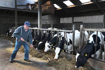 Zorgboerderij voor jonge mensen met dementie: ‘Ze zijn nog tot best veel in staat’