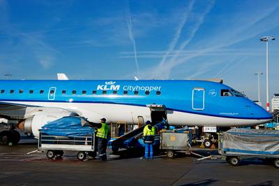 GroenLinks: Schaf vluchten tussen Amsterdam en Brussel af