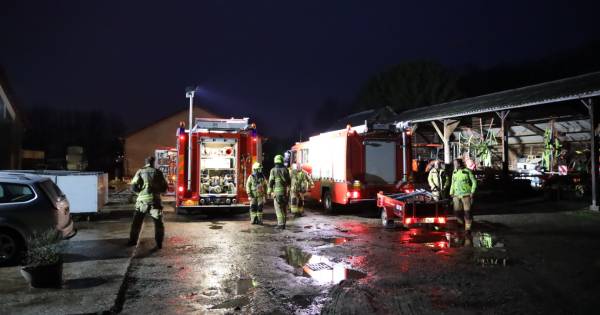 Brandweer bevrijdt twee koeien uit put op Landgoed Biljoen in Velp.