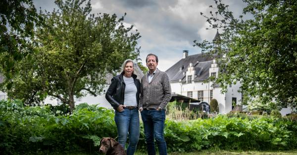 Slot Doddendael wil champagne schenken van eigen wijngaard