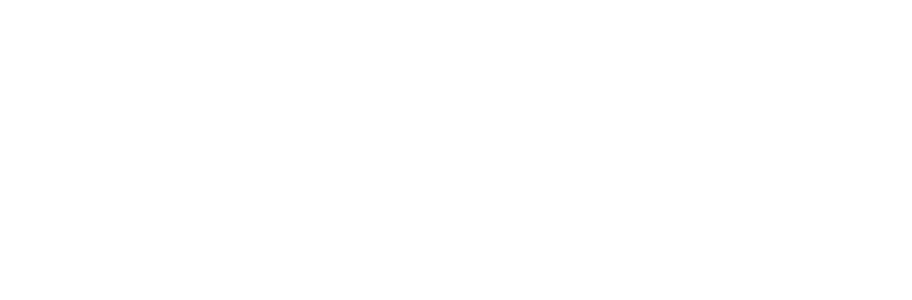 Amours, la révolution Z
