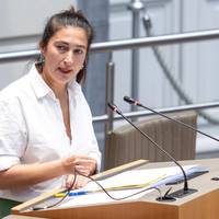 Audit Vlaanderen bekijkt mogelijke mistoestanden door kabinet van Vlaams minister Zuhal Demir (N-VA)