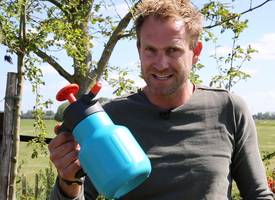 Brandnetels in je tuin? Gooi ze niet weg!
