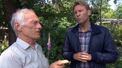 13. Haag-Gezaag - Mierlo