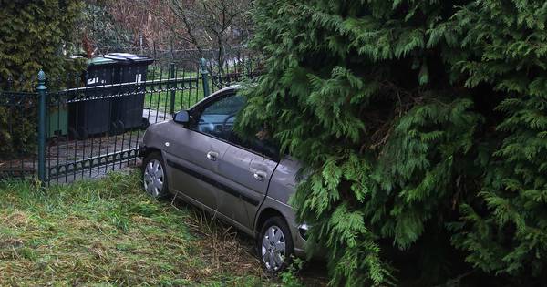 Auto raakt hek, slipt door berm en belandt in coniferen in Lith - BD.nl